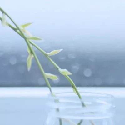 重击你的电脑游戏下载